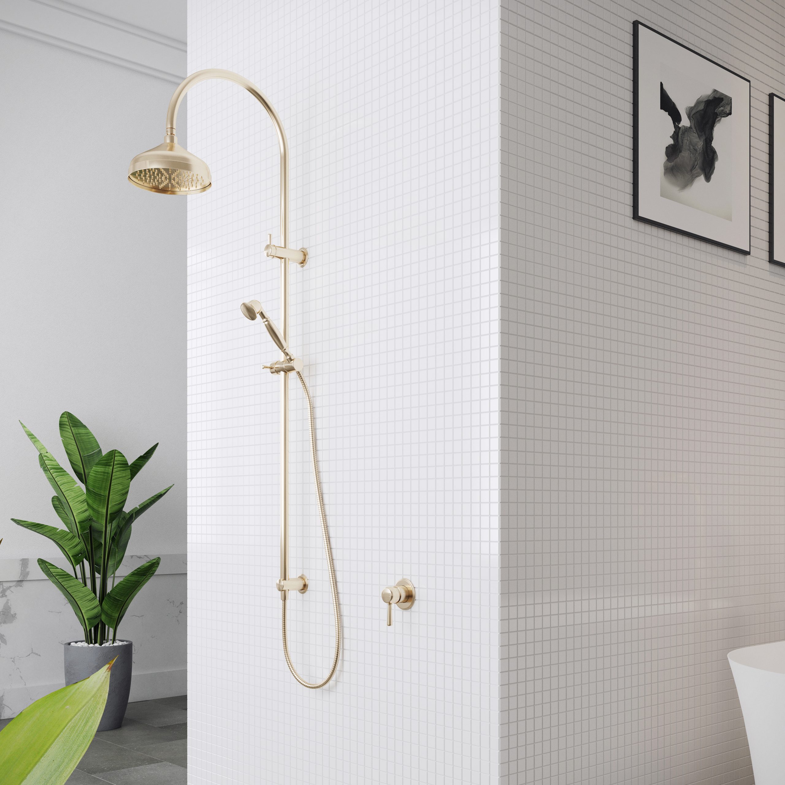 Polished Liberty Gold