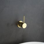 Polished Liberty Gold