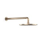 Pegasi Overhead Shower 400 Wa 250head in Discovery Bronze