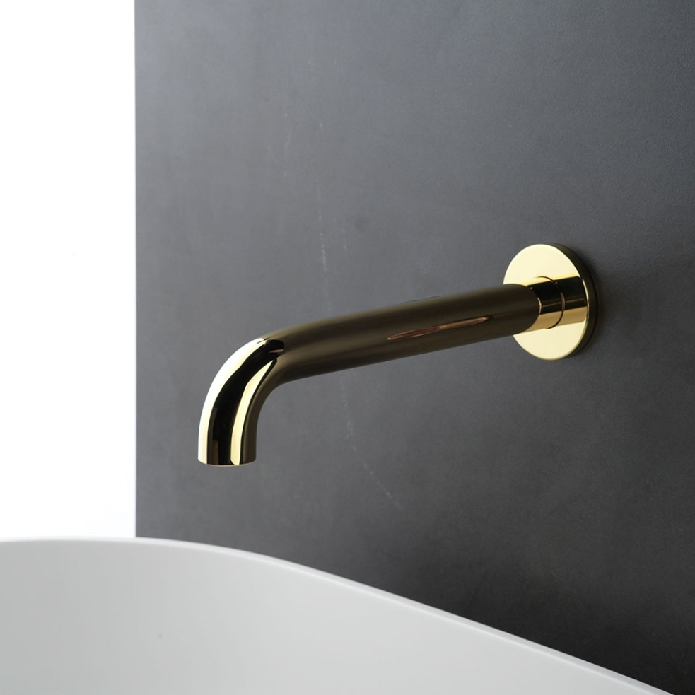 Polished Liberty Gold