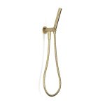 Pegasi Hand Shower on Adjustable Hook, Micro in Raw Brushed Brass